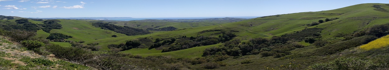 Rolling hills with the ocean and mountains in the background